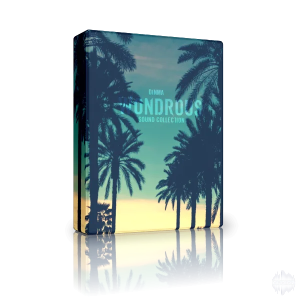 Dinma Wondrous Sound Collection WAV FST