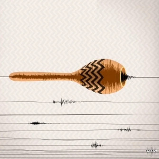 Samplephonics Electroacoustic Shaker Percussion WAV REX AiFF