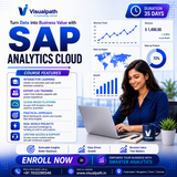 SAP SAC Online Training SAP Analytics Cloud Course