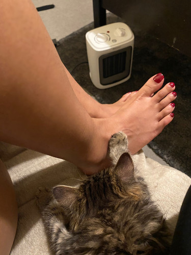 Yasmina Khan Feet 6754135.jpg