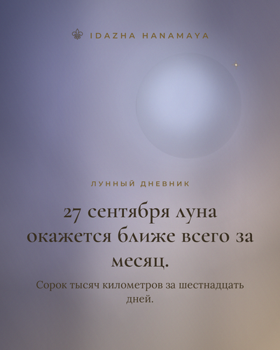 e74b59843877.png