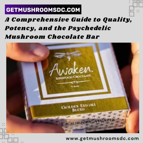 A Comprehensive Guide to Quality, Potency, and the Psychedelic Mushroom Chocolate Bar.jpg