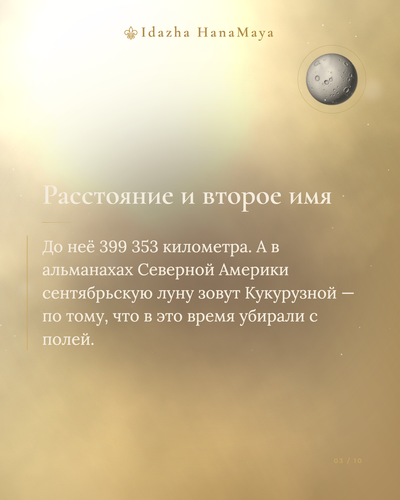 21d4a228dc0f.png