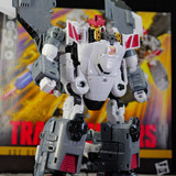 y19 (7)