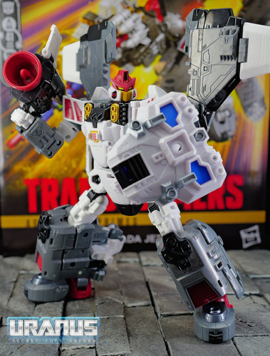 y19 (2)