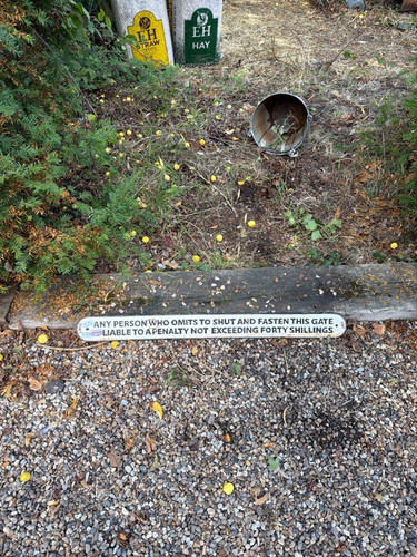4a958fbb3310.jpg