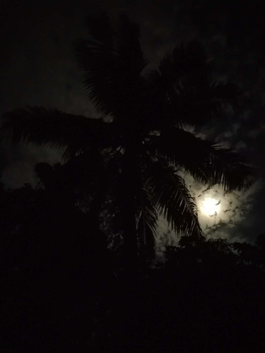 c15b367c c978 410b b97e a67ef6eb16af.jpg