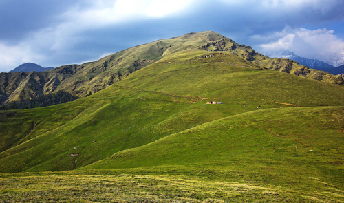 Vie sauvage en Inde du Nord.2