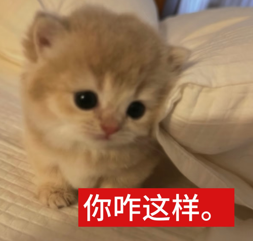 Screenshot 20260818 204736 com.xingin.xhs.png