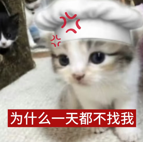 Screenshot 20260818 211110 com.xingin.xhs.png