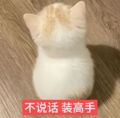 Screenshot 20260818 204807 com.xingin.xhs.png