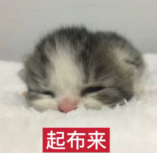 Screenshot 20260818 204835 com.xingin.xhs.png