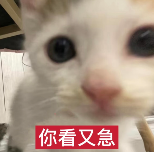 Screenshot 20260818 211301 com.xingin.xhs.png