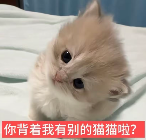 Screenshot 20260818 211224 com.xingin.xhs.png