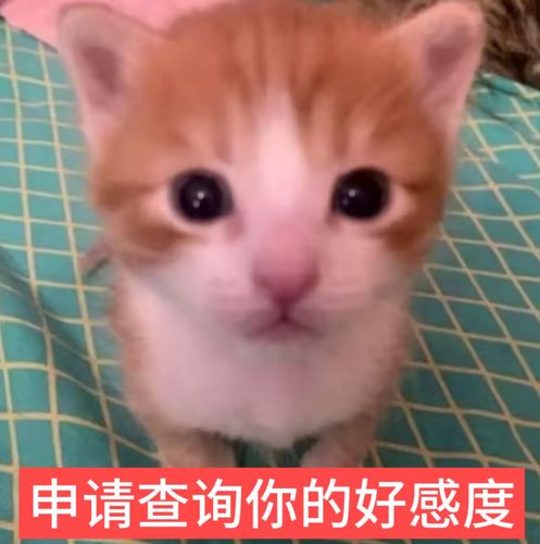 Screenshot 20260819 054804 com.xingin.xhs.png