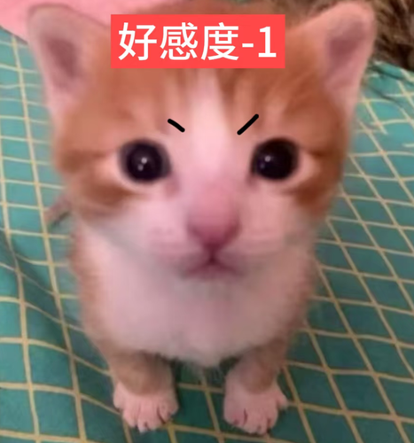 Screenshot 20260819 054830 com.xingin.xhs.png