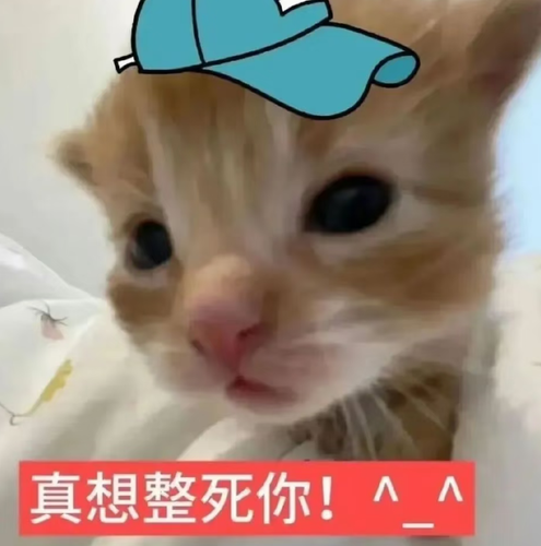 Screenshot 20260819 055003 com.xingin.xhs.png