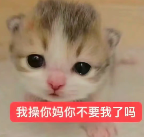 Screenshot 20260819 055206 com.xingin.xhs.png