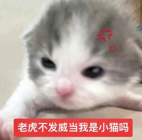 Screenshot 20260819 055135 com.xingin.xhs.png