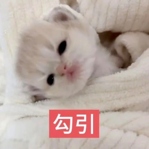 Screenshot 20260819 055121 com.xingin.xhs.png