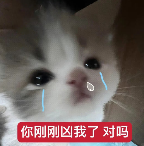 Screenshot 20260818 204326 com.xingin.xhs.png