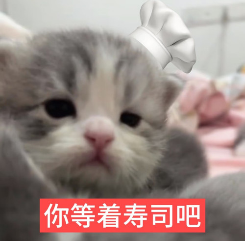 Screenshot 20260826 004032 com.xingin.xhs edit 17403822262075486.jpg