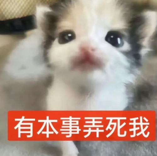 Screenshot 20260819 055320 com.xingin.xhs.png