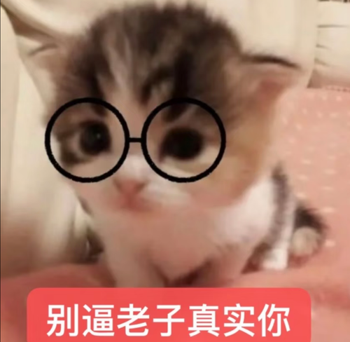 Screenshot 20260819 055240 com.xingin.xhs.png