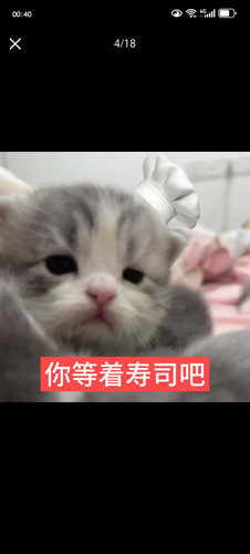 Screenshot 20260826 004032 com.xingin.xhs.jpg