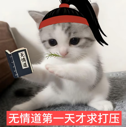 Screenshot 20260826 004056 com.xingin.xhs.png