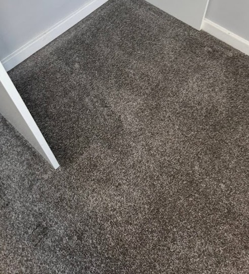 Best service for Carpet Cleaning in Lewsey.jpg