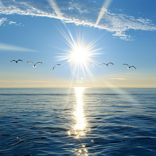 serene ocean sunrise stockcake.jpg