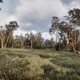 Stalker2 Win64 Shipping 2026 08 31 18 03 16 2