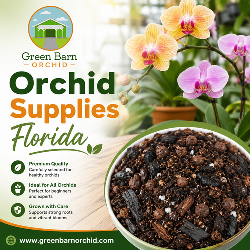 Orchid Supplies Florida: Everything You Need for Healthy Orchids.png