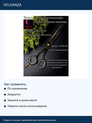 06.jpg
