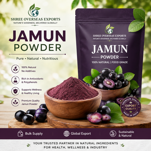 Organic Jamun Powder Manufacturer Bulk Supply, Quality Standards and Export Guide.png