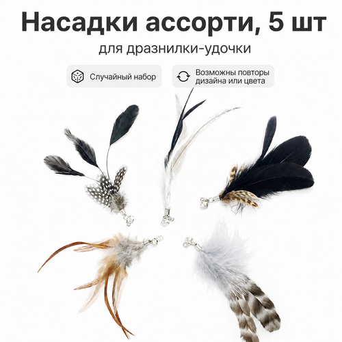 03 refill 5 assort random ru.png