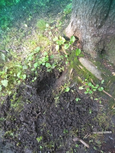 IMG20260901091511.jpg