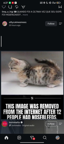 1000656736.jpg
