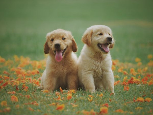test photo.jpg