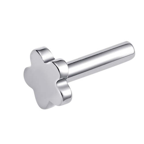 image6 (1).png
