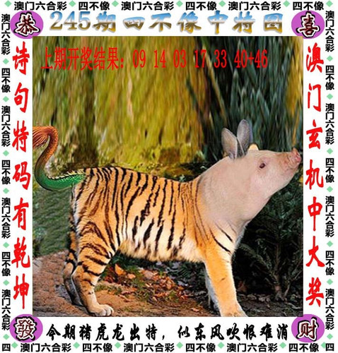 amsbx.jpg