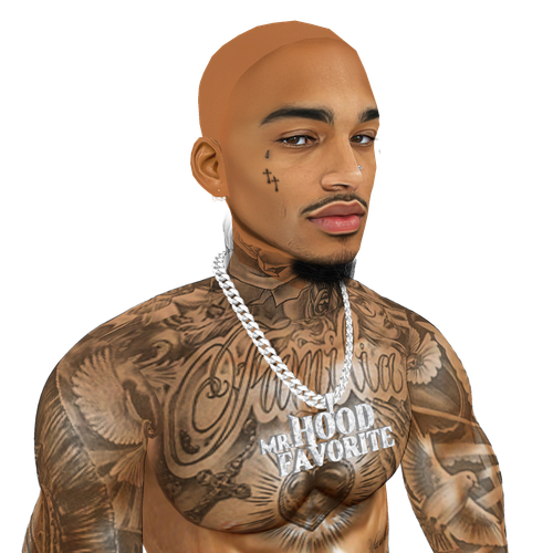 IMG 1746.png