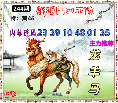 244.jpg