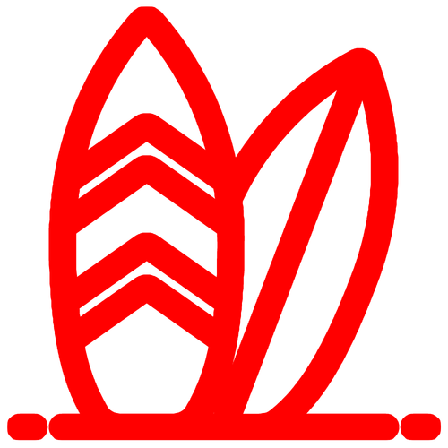 SURF (2).png