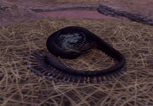 Discord NIbkO6Wmw5.png