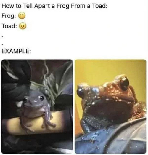 pure unfiltered dank memes 640 high 02 (1).jpg