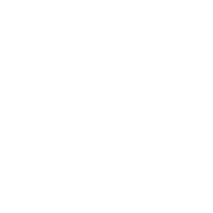 Teck Chile 300x300.png