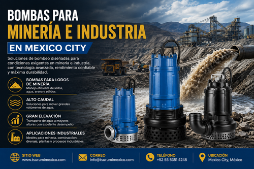 Bombas para Minería e Industria en Mexico City Tsurumi México.2
