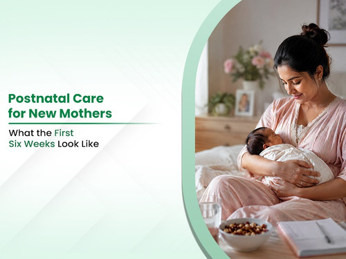 Postnatal Care for New Mothers What the First Six Weeks Look Like.jpg